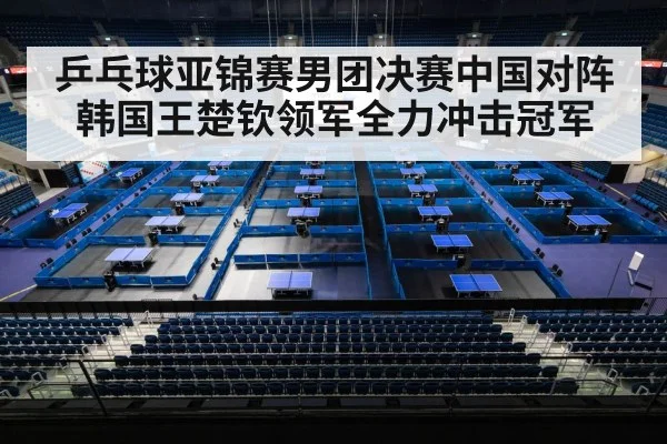 table tennis championship